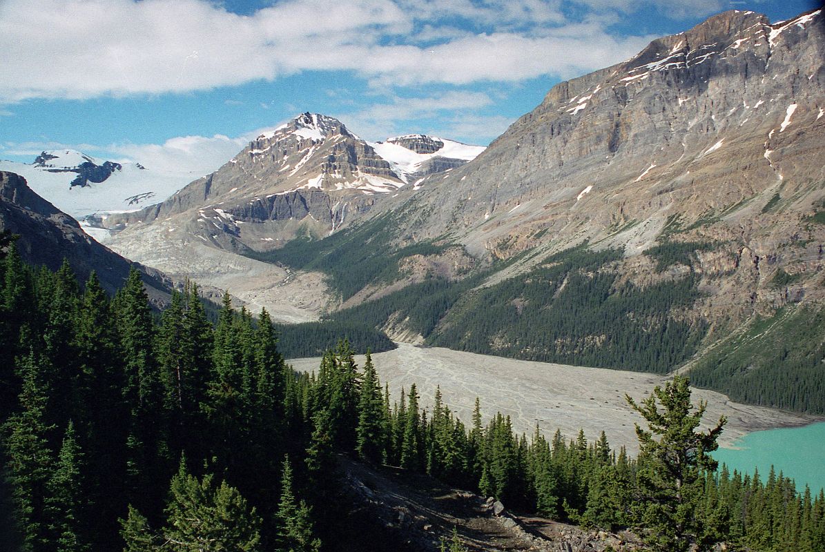 60 Mount Habel, Peyto Peak, Caldron Peak, Peyto Lake In Summer From Near Icefields Parkway